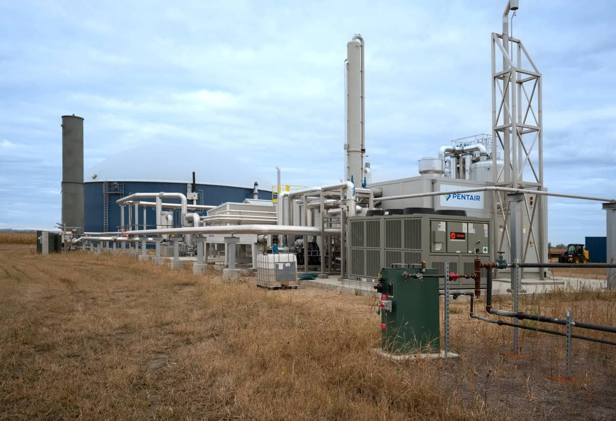 VF Renewable Energy